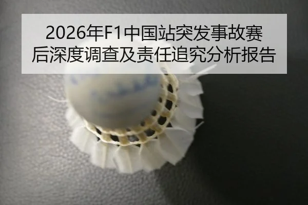 2026年F1中国站突发事故赛后深度调查及责任追究分析报告